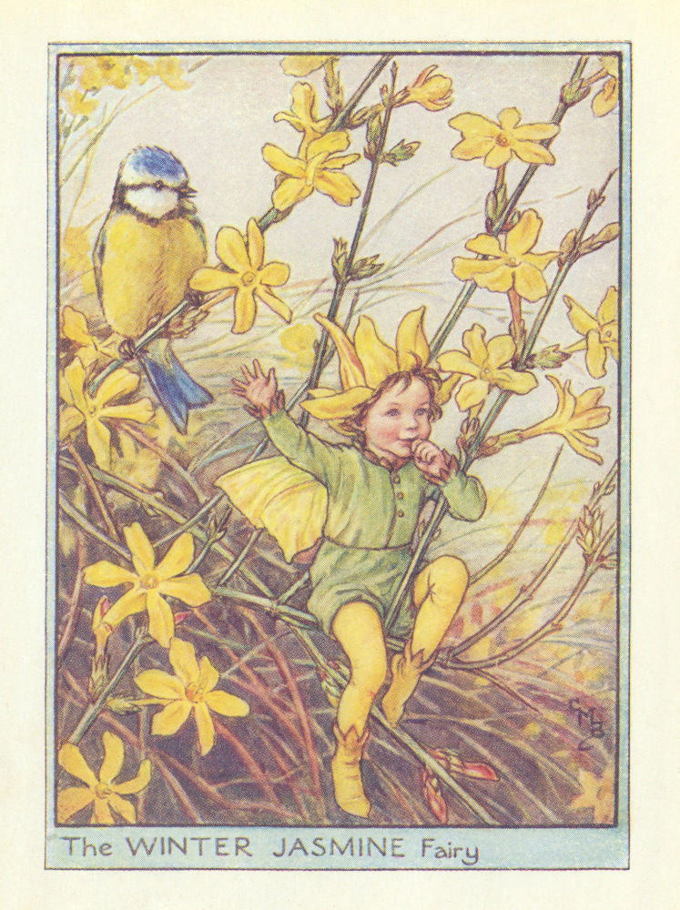 Winter Jasmine Fairy by Cicely Mary Barker. Flower Fairies of the Garden c1940
